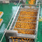 Industrielle Orangen-Zitrussaft-Produktionslinie automatisch
